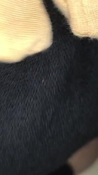 Eldivenli Hintli orta yaşlı seksi kadın fantezisi