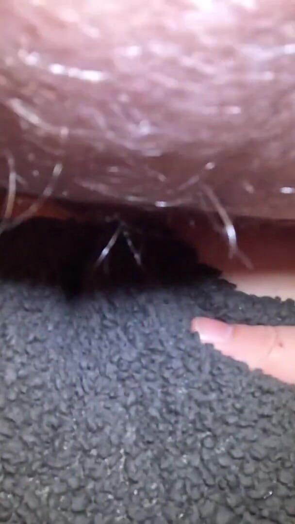 Funhousewife69: hot aur seksi chudaee yahan chal rahi hai! gili, rasdaar...