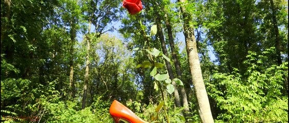 Mesmeriza: Mesmeriza kompilace 12 Ostrov Zapomnění