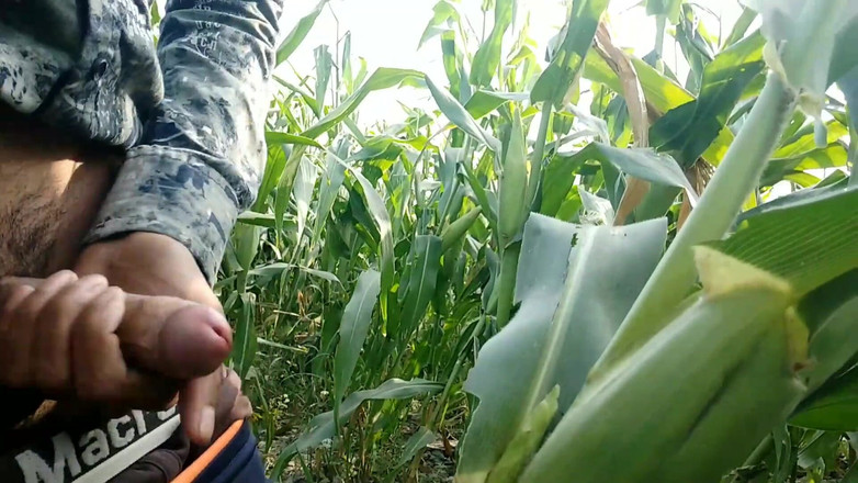 Desimast7: Mısır yaprağına boşalıyor, süper boşalıyor