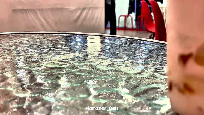 Hamster_Ball: मेरे दोस्त की चोदने लायक मुस्लिम पत्नी को धोखा देना, कैफे से लेकर घर तक सेक्स के लिए