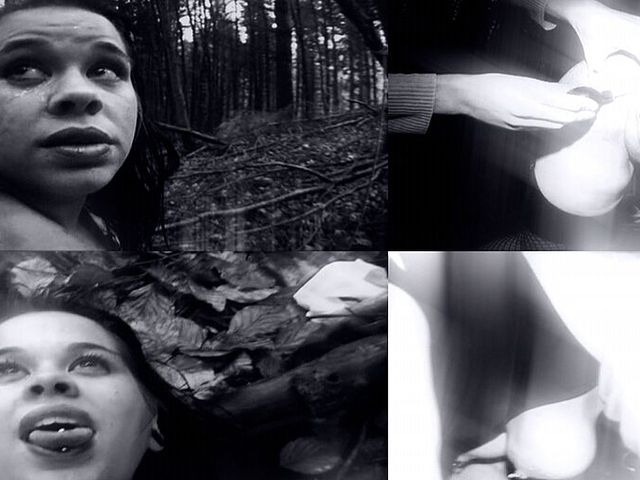 Breeding in the Forest (Deutsche Dominanz)