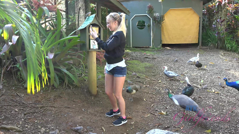ATK Fans (Girlfriends): Liburan virtual di hawaii sama bailey brooke bagian 7