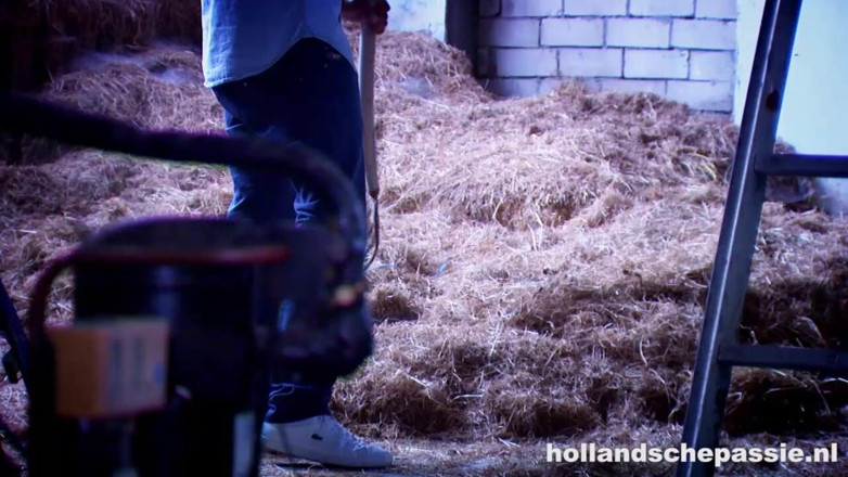 Hollandsche Passie: Chelsey ama una gran polla