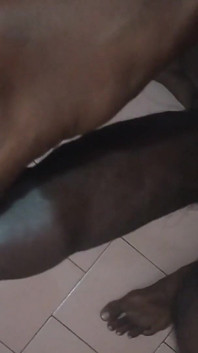 Tamil10inches BBC เช้านมแข็งกระแทกยักษ์