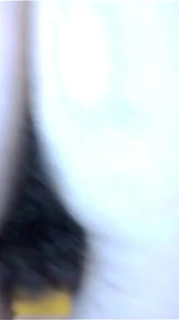 Hairy Play