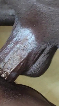 Una ragazza formosa mi scopa così bene