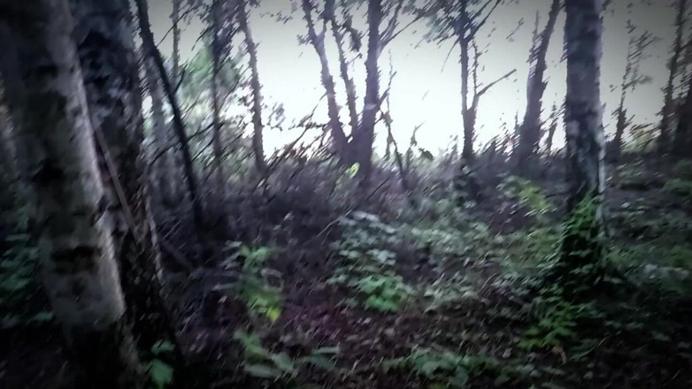 Fish Cam: Twink Took the Train From the City to the Forest...
