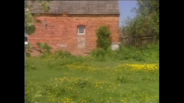 Cinema X: 90 ki chudaee ki ek shrrinkhla