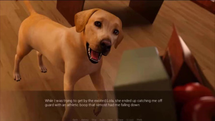 Visual Novels: Verbundene teil 15