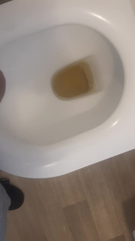 Pissing in Womens Toilet