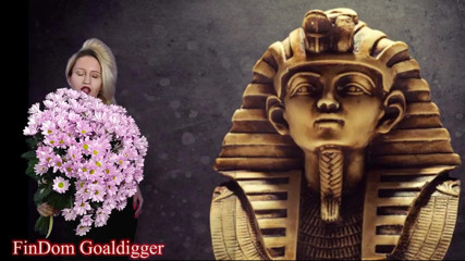 FinDom Goaldigger: Дозвіл VIP loserpaypig