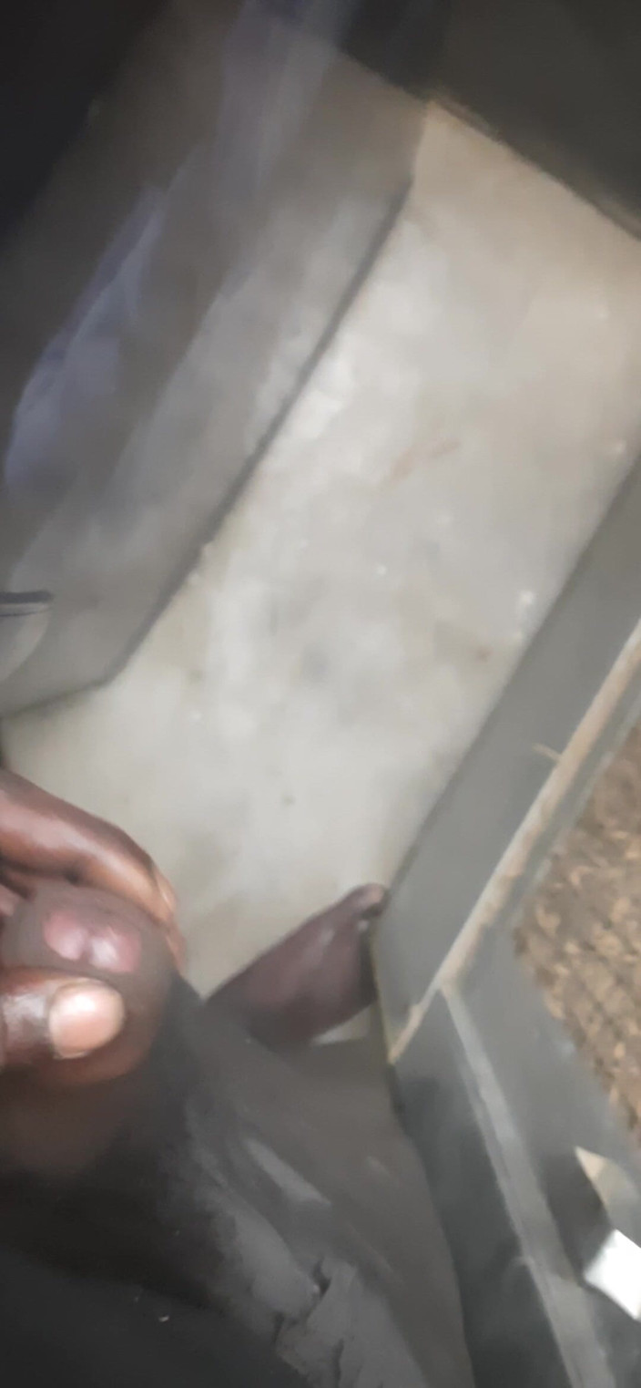 JoyfulPaw60: Saya melancap hari ini.