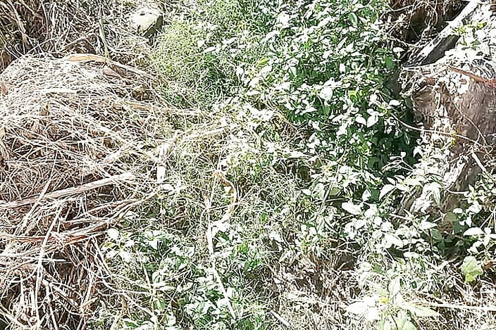 Gangbang straight: Velké chcaní