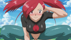 Prznai: Pokemon Flannery Hen