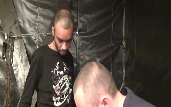 Paris Jango: Gangbang di grandi troie che vengono scopate a volontà