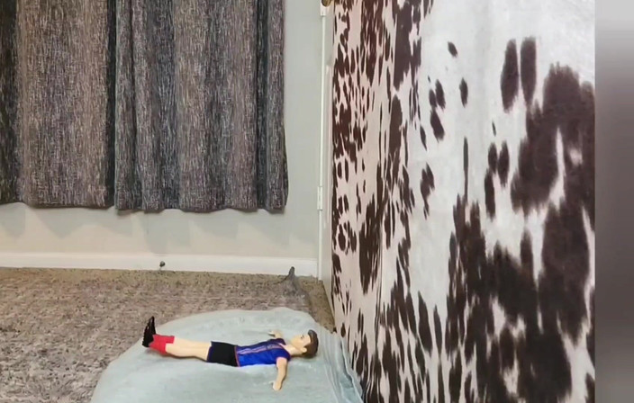 Julia Ryan: Travailler les pets