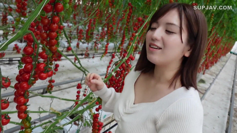 Studio Modern Shunga - JAV: Asian angel 7402