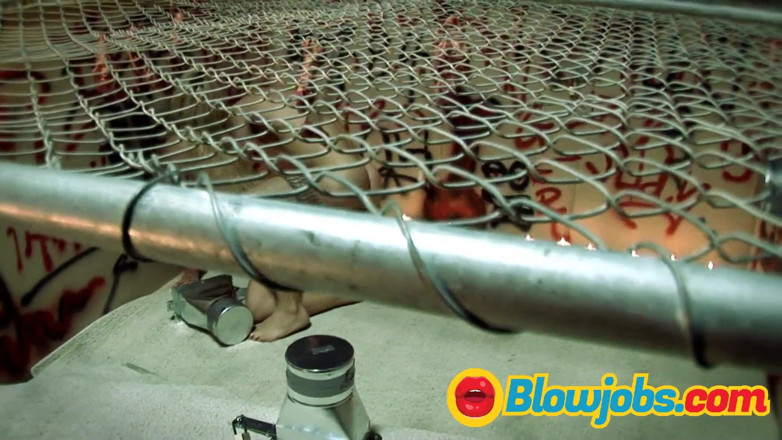 Oblowjobs: Con đĩ tóc vàng thích chơi hậu môn và xuất tinh...