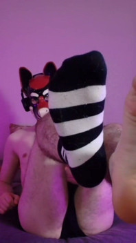 Bare Pup Paws Right in Your Face