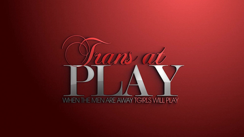 Trans 500: 和波特拉女士的玩耍时间