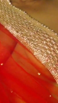 Spettacolo di arrapanti tette nude e capezzolo di grandi tette bollenti.