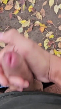 Cum in Nature