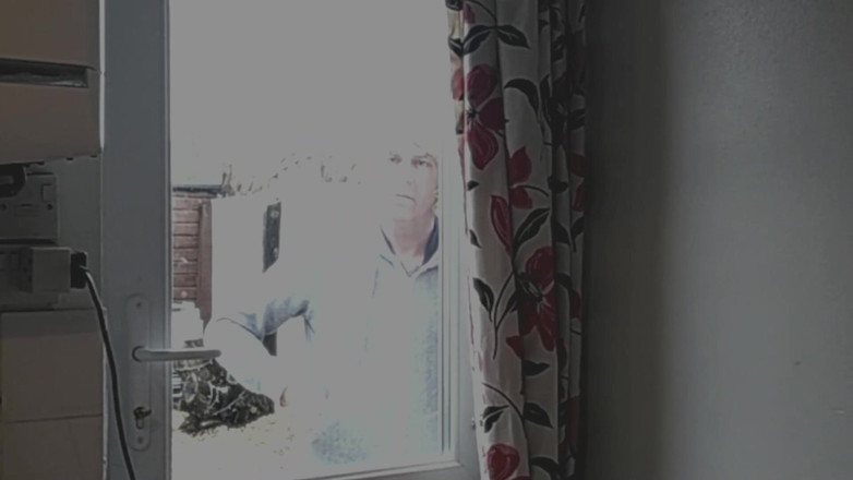 The adventures of Kylie Britain: El Jardinero