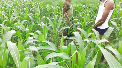 Fuckkkker: 哥姐夫的大黑鸡巴来了并被干，哥在玉米地上的性爱户外印地语音频