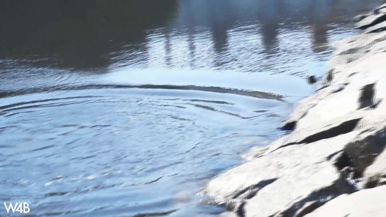 Watch4beauty: Bij de dam