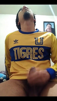 Kom op Tigres, ik word rijk terug.