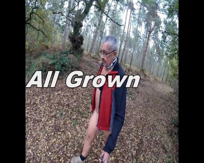 Andy: Woods