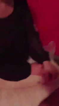 Asijský anděl 24117