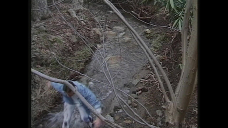 MMV films - The Original: Bir yabancıyla anal