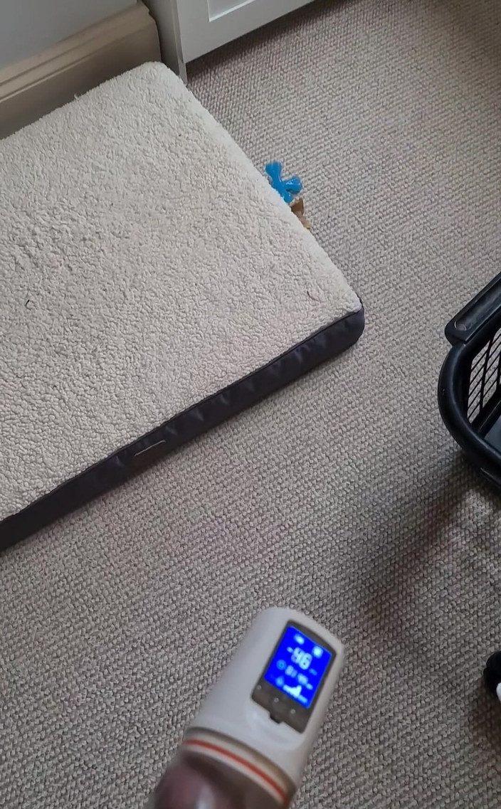 Amadeus: Polední pumpa