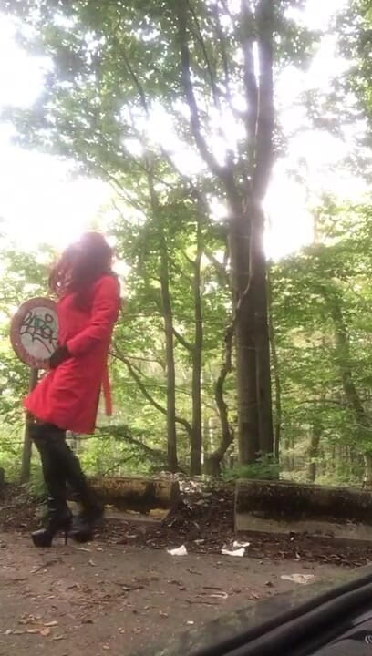 Sofiasse: Caminaba por el bosque