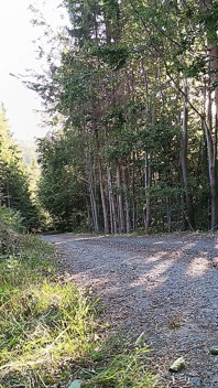 Scooter Rider Outdoor Masturbation