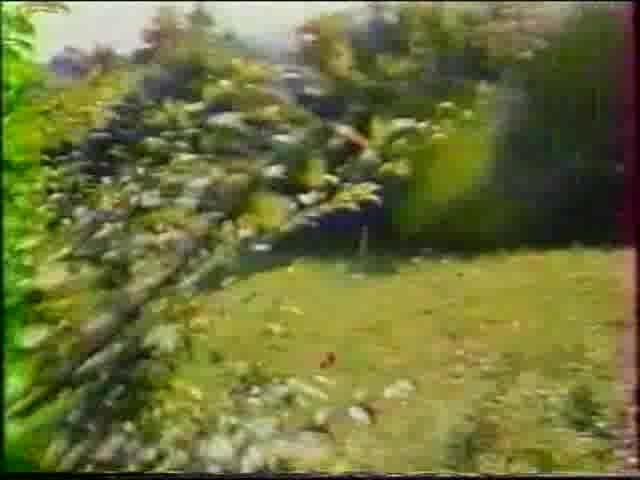 Euro Blue Movies: Indagine sul Vice (1977)