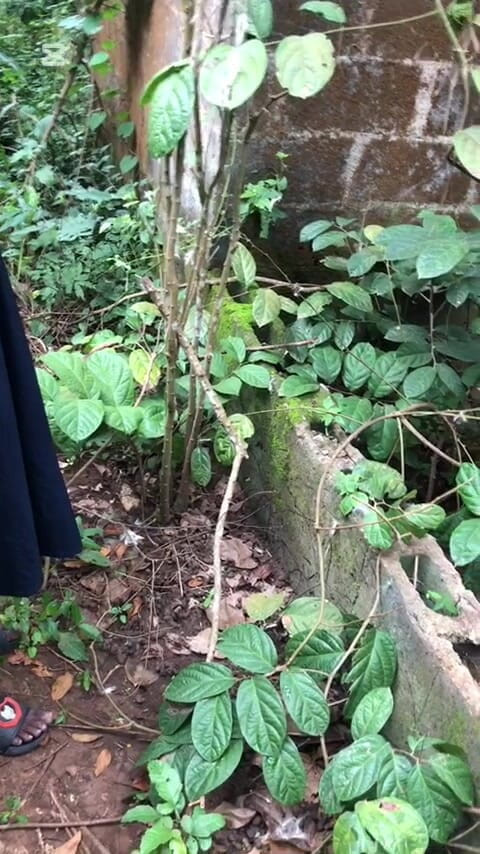 The bigboss: Nimm mich in den wald und fülle meine beide mit...