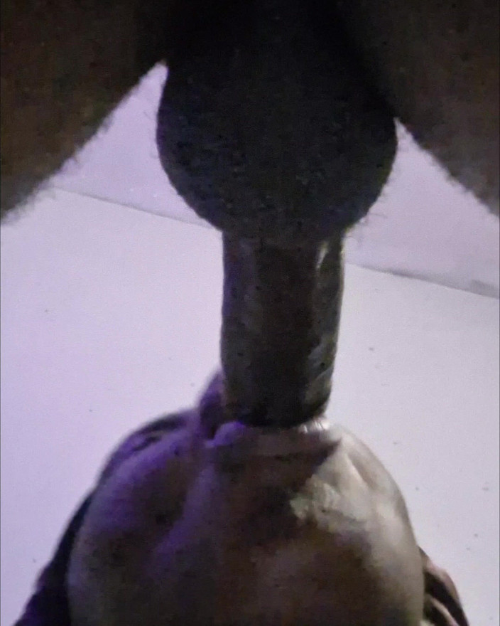 Pperfect lips: Blowjob yang sempurna
