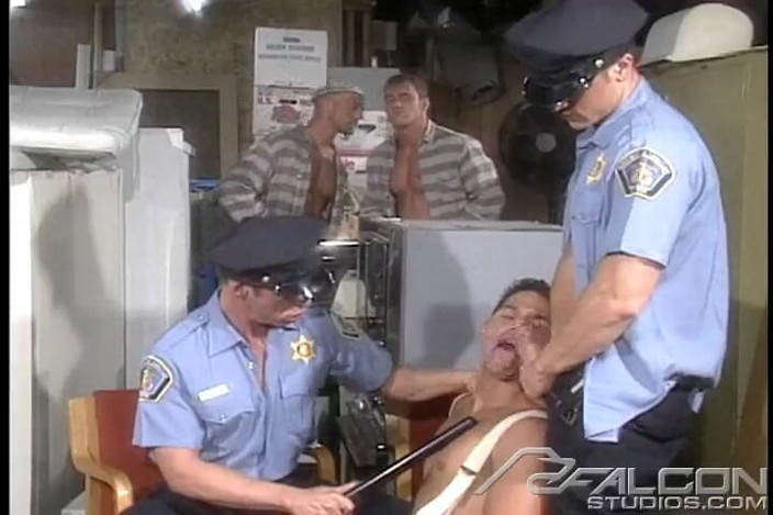 Falcon Studios: Sprung