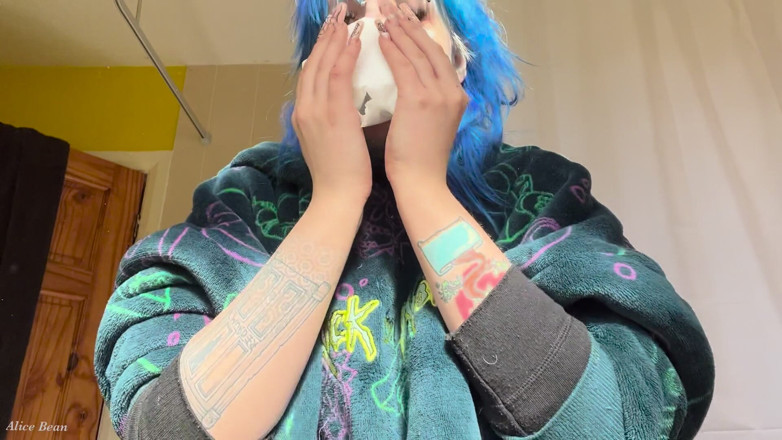 Alice Bean: Hayfever Honks
