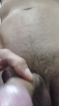 La Bella Grande Vuole Un Gatto Peloso!