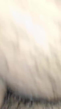 Adik tiri yang lagi sange ini suka banget dientot sama kontol besar abang tirinya sendiri