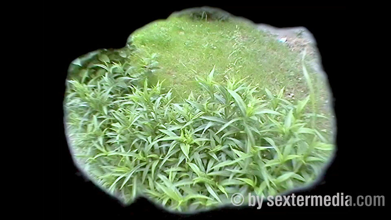 Viewer cam by Sextermedia: Millonaire'in Wiesbadenli Kızı