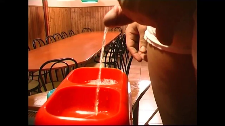 The Swingers & CO.: Tolle Unterwerfung