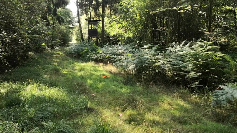 Bouncy Tits Action: Volledig naakt in de buitenlucht