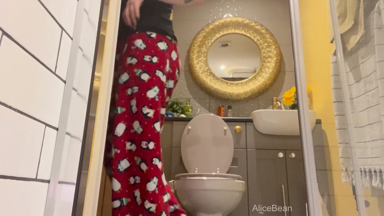 Alice Bean: Air Bnb Tuvalet Gözetmeni