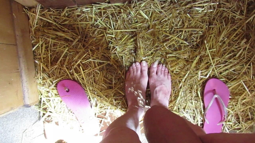 Pissy Sissy (Barefoot Stables)