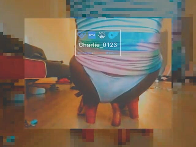 Charlie-0123: 30 सेंटीमीटर, बड़ी चुनौती